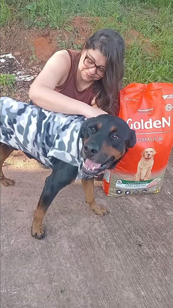 Doguinho, cachorro de porte médio para adoção em Araras - SP
