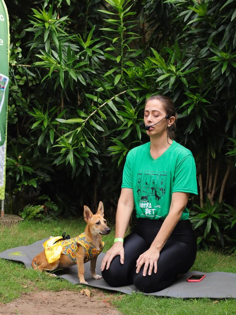Mel, cachorro de porte pequeno para adoção em Fortaleza - CE