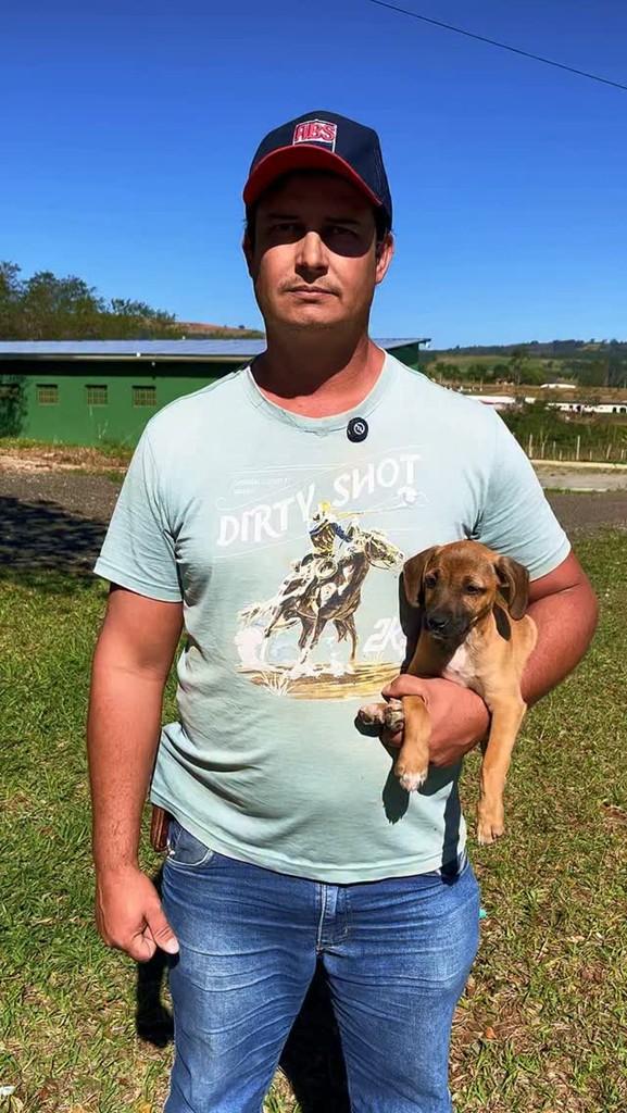 Perninha, cachorro de porte pequeno para adoção em São Sebastião do Paraíso - MG