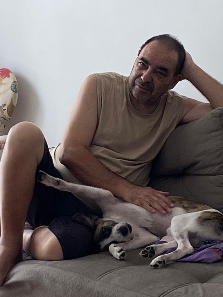 Tunico, cachorro de porte pequeno para adoção em Juiz de Fora - MG