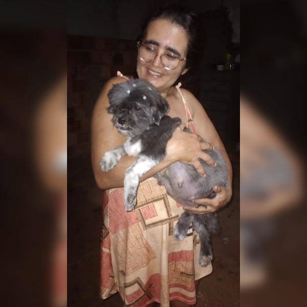 Naomi, cadela de porte pequeno para adoção em Campo Grande - MS