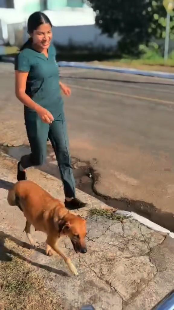 Caramela, cadela de porte médio para adoção em Rolim de Moura - RO