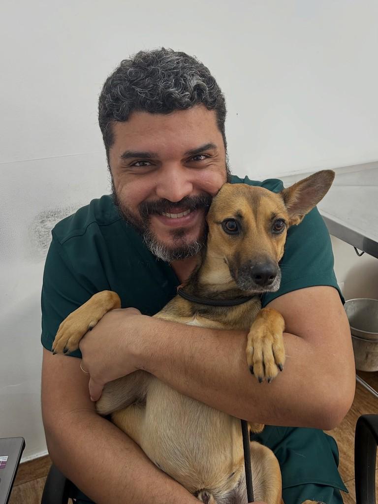 Bento, cachorro de porte pequeno para adoção em Taubaté - SP