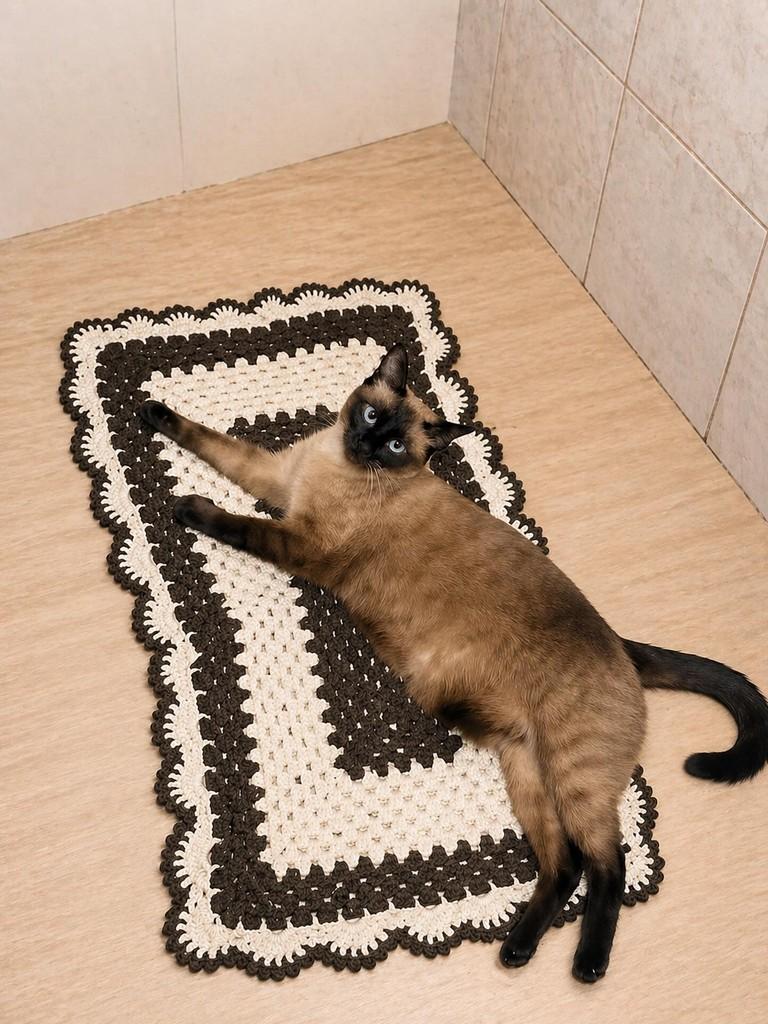 Doce, gata de porte pequeno para adoção em Camboriú - SC