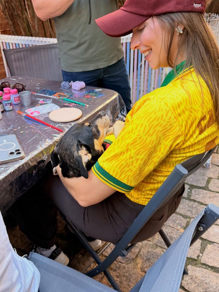 Thor, cachorro de porte pequeno para adoção em Campinas - SP — foto 5 de 6