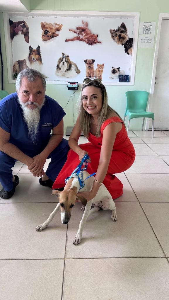 Bel, cachorro de porte pequeno para adoção em Fortaleza - CE