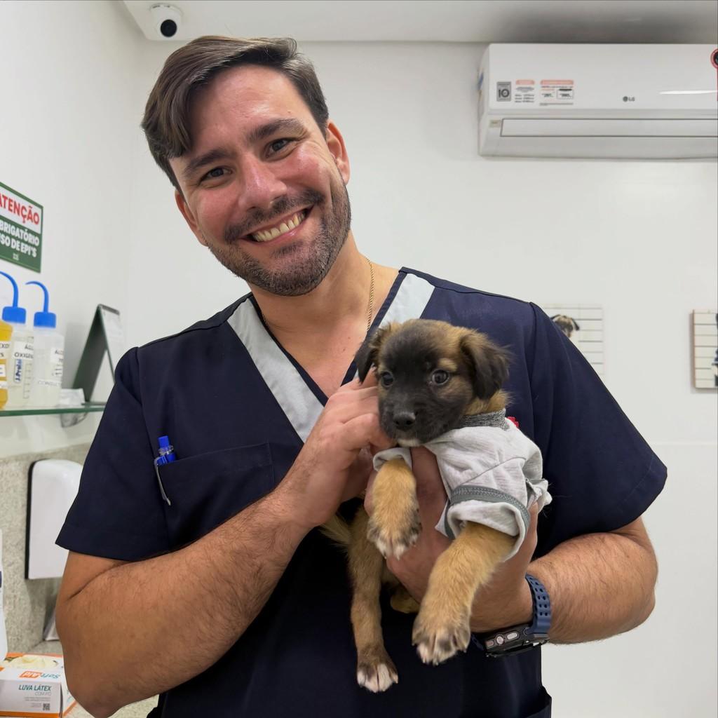 Davi, cachorro de porte pequeno para adoção em Recife - PE