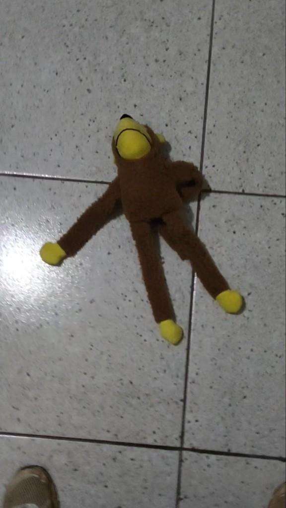 Lindo, cachorro para adoção em Franco da Rocha - SP