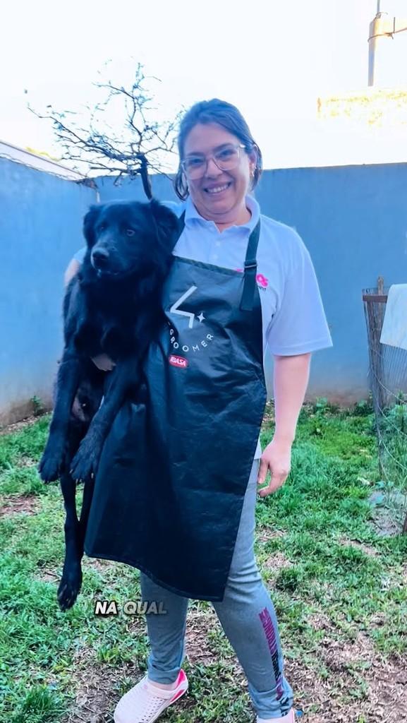 Sebastian, cachorro de porte médio para adoção em Passo Fundo - RS