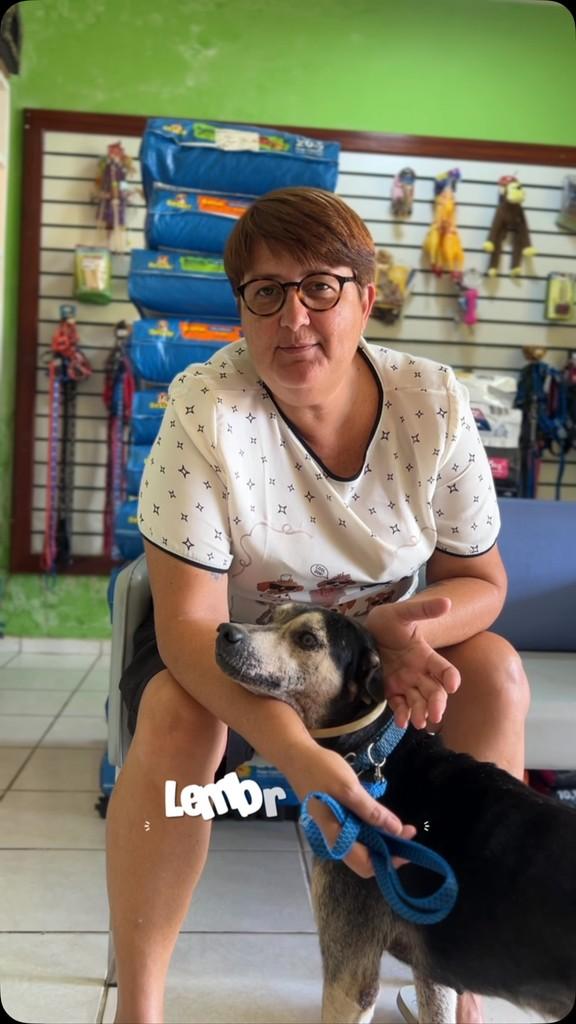 Sebastião, cachorro de porte médio para adoção em Granja - CE