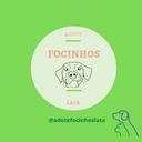 Adote Focinhos Lata