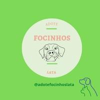 Adote Focinhos Lata
