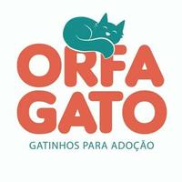 Orfagato - Adoção de Gatinhos