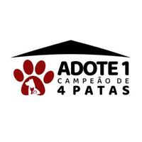Adote um Campeão de 4 Patas