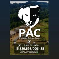 Proteção Animal Caxias PAC