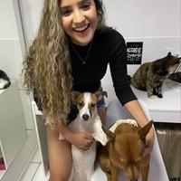 Ingrid Thayna (Amor Pet Adote)