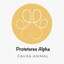 Protetores Alpha