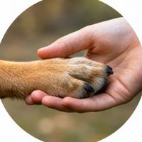 Patas com Propósito