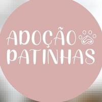Patinhas Adoção