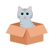 Projeto Mundo Felino