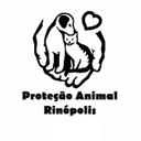 Voluntárias da Causa Animal de Rinópolis-SP