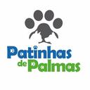 Patinhas de Palmas