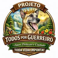 Todos por Guerreiro