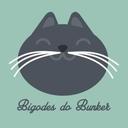 Bigodes do Bunker de Adoções de Gatos