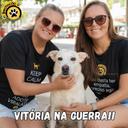 Brechocão