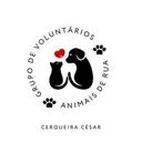 Associação da Causa Animal Cerqueira Cés