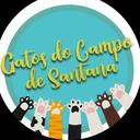 Gatos do Campo de Santana