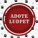 Projeto LudPet