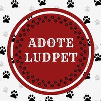 Projeto LudPet