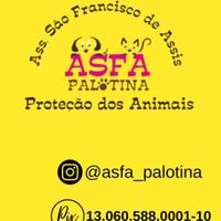 Asfa Palotina