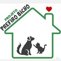 Projeto Prefiro Bicho