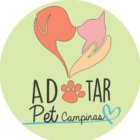 Adotar Pet Campinas