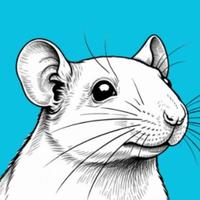 Os Animais Importam