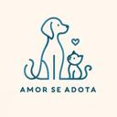 Amor se Adota