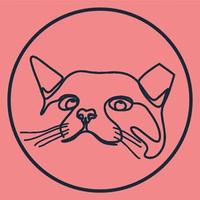 SOS Felino
