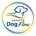 Projeto Dog Flow