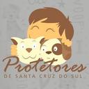 Protetores de Santa Cruz do Sul
