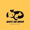 Adote Pet Salvador