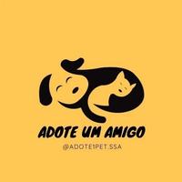 Adote Pet Salvador