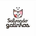 Salvando Gatinhos