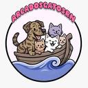 Arca dos Gatos RN - Lia