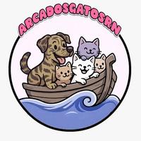 Arca dos Gatos RN - Lia