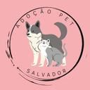 Adote um Pet Ana Claudino