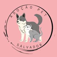 Adote um Pet Ana Claudino