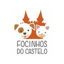 Focinhos do Castelo - Adote