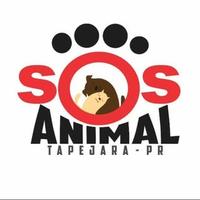 Adoção SOS Tapejara/PR